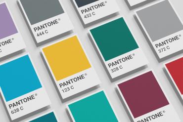 Pantone Card Mock-up